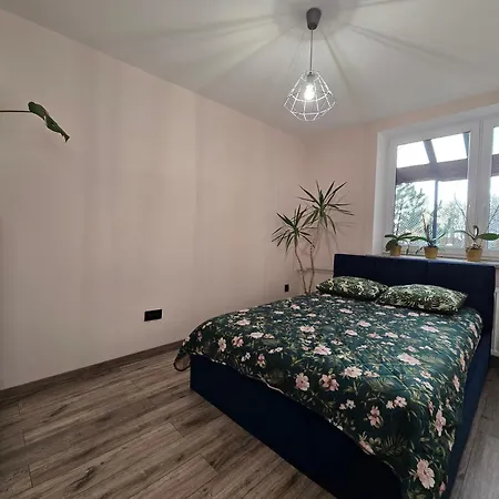 Gryfny Loft Przy Wujku דירה קטוביץ