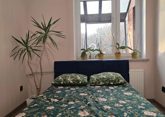 דירה Gryfny Loft Przy Wujku